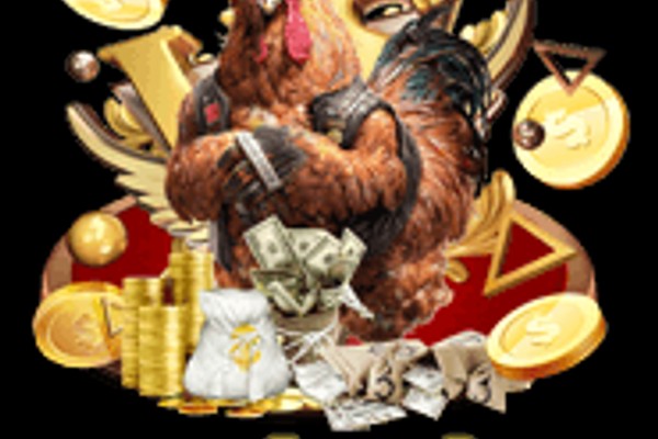 Đá gà cựa dao gay cấn tại J88VIP2