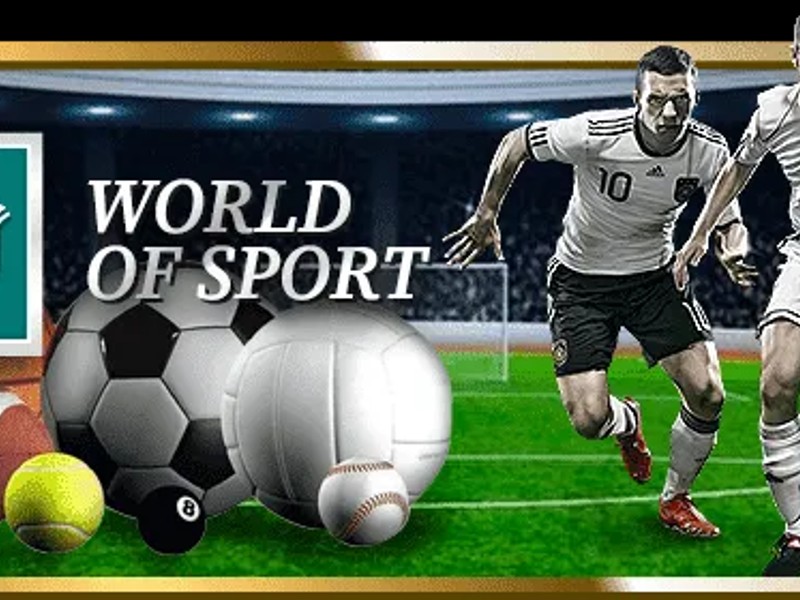 Hướng dẫn cho người chơi mới