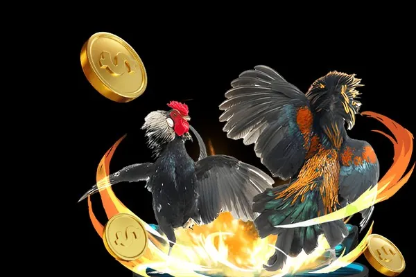 Đá gà cựa sắt kịch tính tại J88VIP2